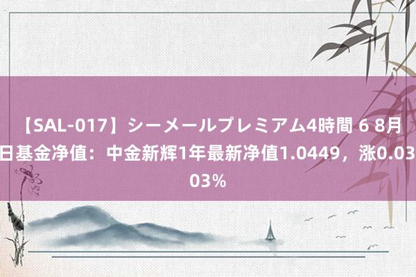 【SAL-017】シーメールプレミアム4時間 6 8月1日基金净值：中金新辉1年最新净值1.0449，涨0.03%