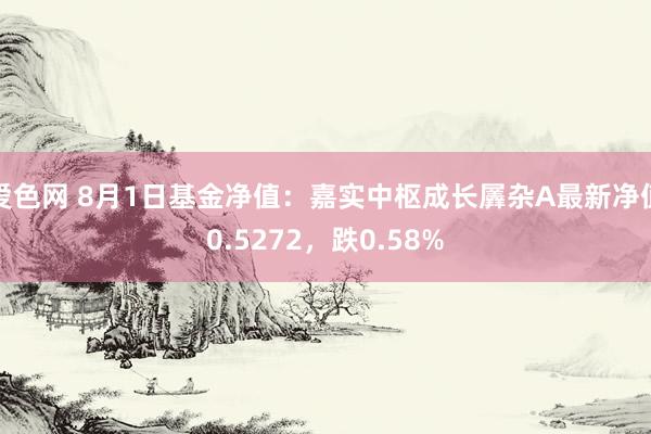 爱色网 8月1日基金净值：嘉实中枢成长羼杂A最新净值0.5272，跌0.58%