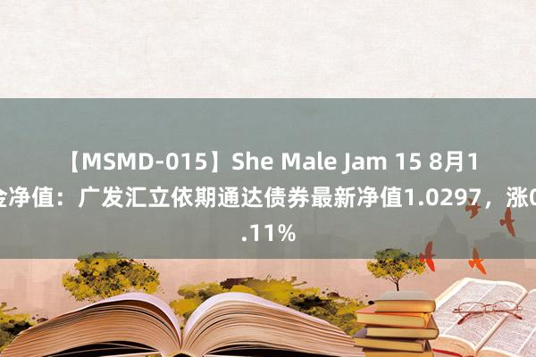 【MSMD-015】She Male Jam 15 8月1日基金净值：广发汇立依期通达债券最新净值1.0297，涨0.11%