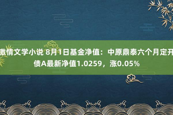 激情文学小说 8月1日基金净值：中原鼎泰六个月定开债A最新净值1.0259，涨0.05%