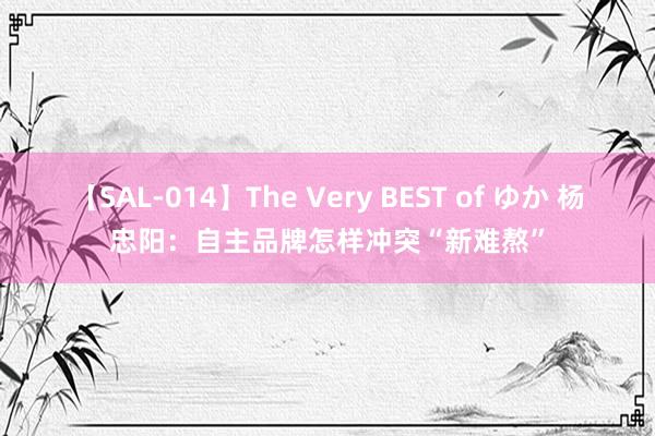 【SAL-014】The Very BEST of ゆか 杨忠阳：自主品牌怎样冲突“新难熬”