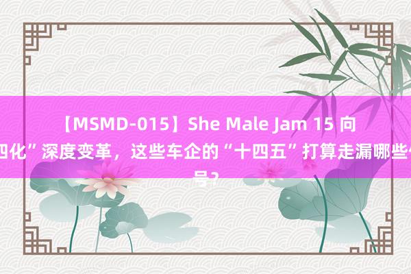 【MSMD-015】She Male Jam 15 向“新四化”深度变革，这些车企的“十四五”打算走漏哪些信号？