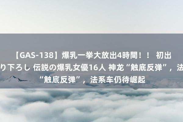 【GAS-138】爆乳一挙大放出4時間！！ 初出し！すべて撮り下ろし 伝説の爆乳女優16人 神龙“触底反弹”，法系车仍待崛起