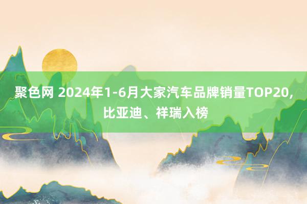 聚色网 2024年1-6月大家汽车品牌销量TOP20， 比亚迪、祥瑞入榜