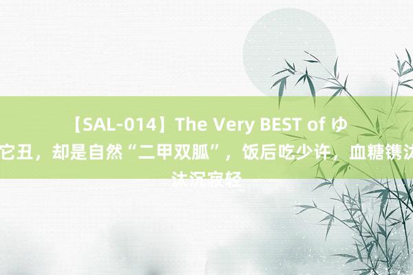 【SAL-014】The Very BEST of ゆか 别看它丑，却是自然“二甲双胍”，饭后吃少许，血糖镌汰沉寂轻