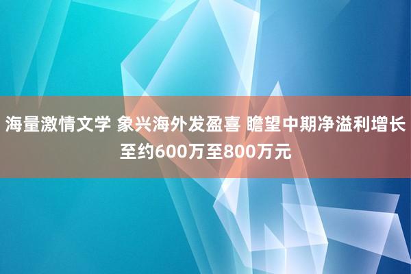 海量激情文学 象兴海外发盈喜 瞻望中期净溢利增长至约600万至800万元