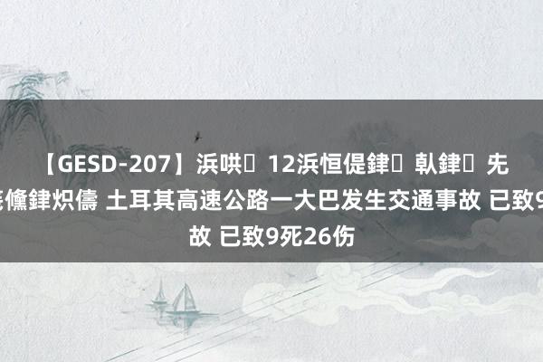 【GESD-207】浜哄12浜恒偍銉倝銉兂銉€銉笺儵銉炽儔 土耳其高速公路一大巴发生交通事故 已致9死26伤