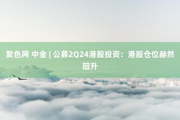 聚色网 中金 | 公募2Q24港股投资：港股仓位赫然回升