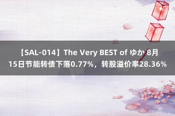 【SAL-014】The Very BEST of ゆか 8月15日节能转债下落0.77%，转股溢价率28.36%