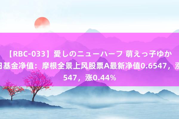 【RBC-033】愛しのニューハーフ 萌えっ子ゆか 8月15日基金净值：摩根全景上风股票A最新净值0.6547，涨0.44%