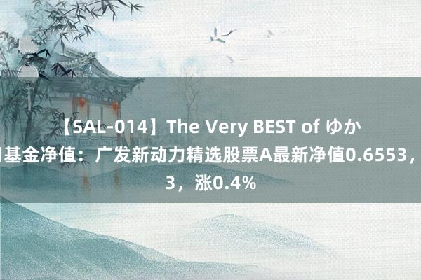 【SAL-014】The Very BEST of ゆか 8月15日基金净值：广发新动力精选股票A最新净值0.6553，涨0.4%