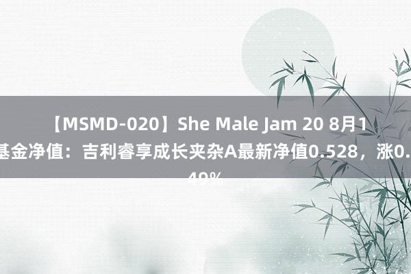 【MSMD-020】She Male Jam 20 8月15日基金净值：吉利睿享成长夹杂A最新净值0.528，涨0.49%