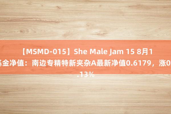 【MSMD-015】She Male Jam 15 8月15日基金净值：南边专精特新夹杂A最新净值0.6179，涨0.13%