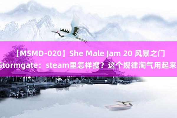 【MSMD-020】She Male Jam 20 风暴之门Stormgate：steam里怎样搜？这个规律淘气用起来！