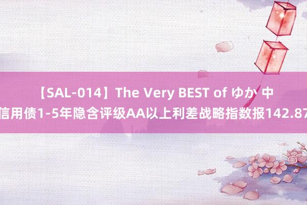 【SAL-014】The Very BEST of ゆか 中证信用债1-5年隐含评级AA以上利差战略指数报142.87点