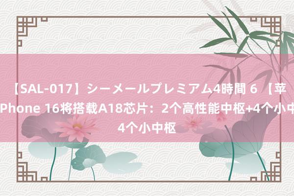 【SAL-017】シーメールプレミアム4時間 6 【苹果iPhone 16将搭载A18芯片：2个高性能中枢+4个小中枢