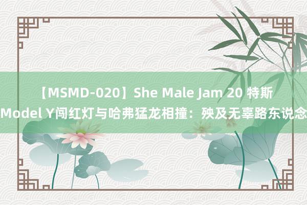 【MSMD-020】She Male Jam 20 特斯拉Model Y闯红灯与哈弗猛龙相撞：殃及无辜路东说念主