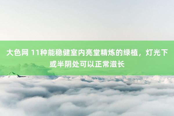 大色网 11种能稳健室内亮堂精炼的绿植，灯光下或半阴处可以正常滋长