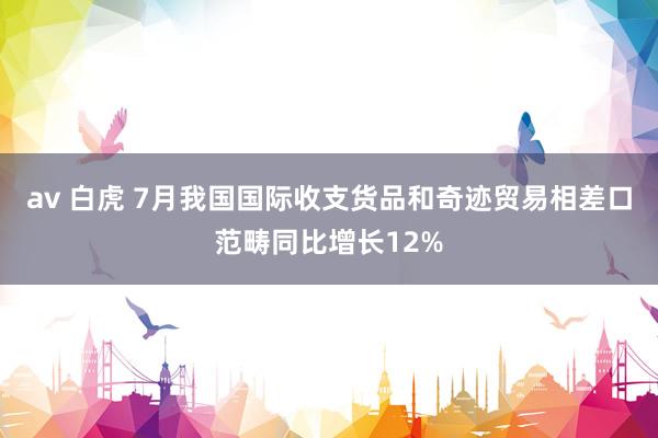 av 白虎 7月我国国际收支货品和奇迹贸易相差口范畴同比增长12%