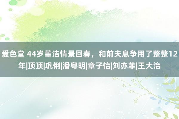 爱色堂 44岁董洁情景回春，和前夫息争用了整整12年|顶顶|巩俐|潘粤明|章子怡|刘亦菲|王大治